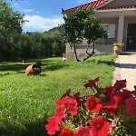 Otel Deluxe Plános